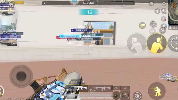 和平精英辅助得类型分为那些